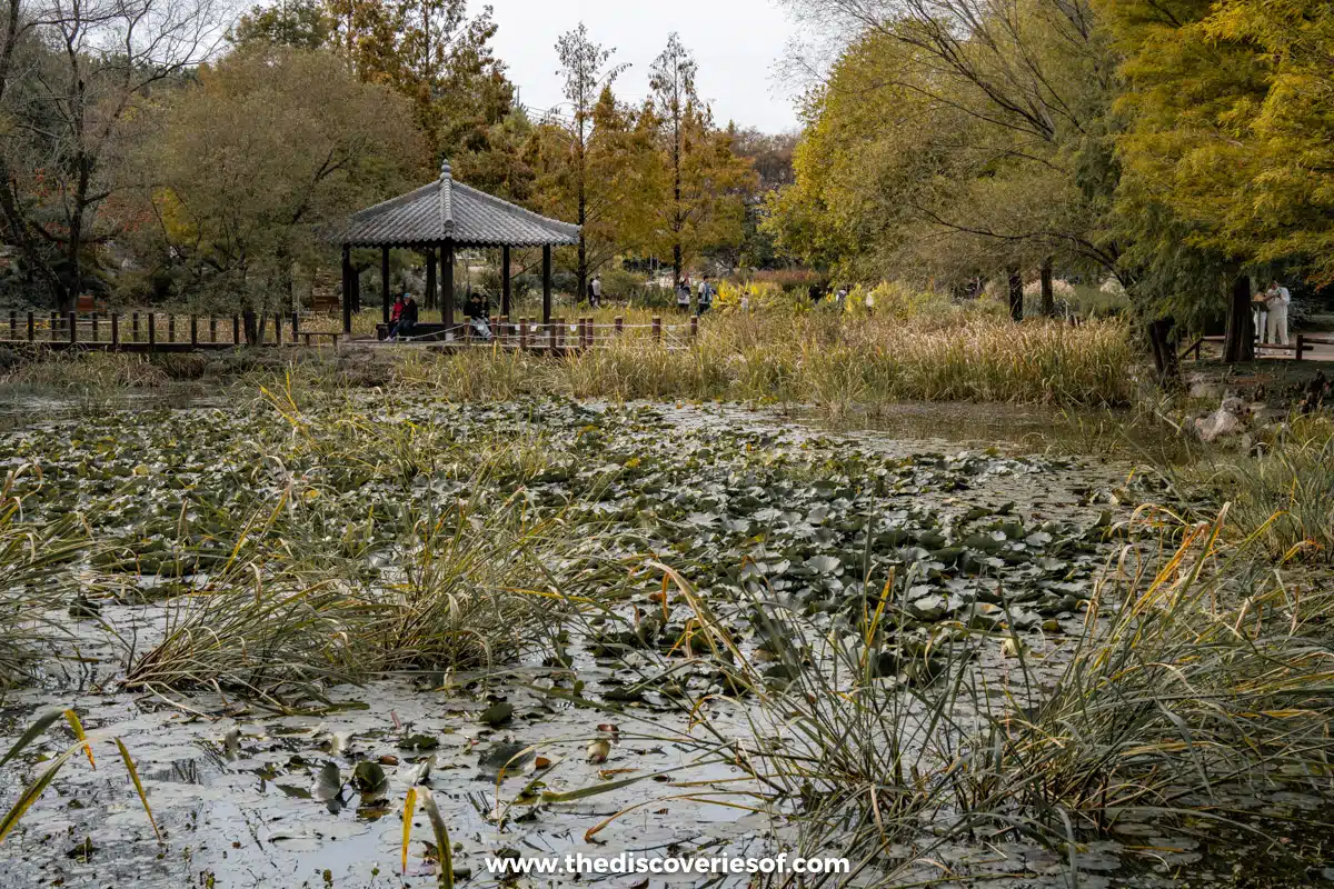 Jeonju Arboretum