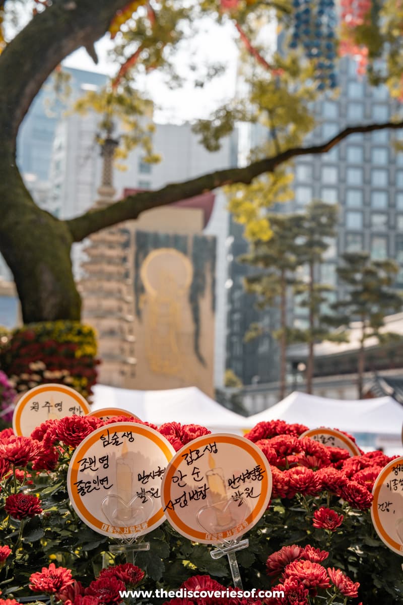 Flowers at the temple