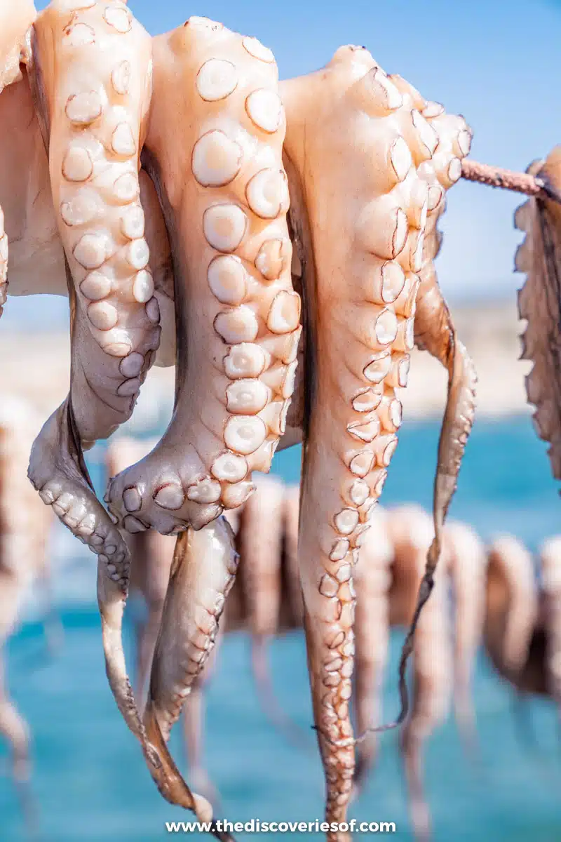Octopus Drying in Mandrakia