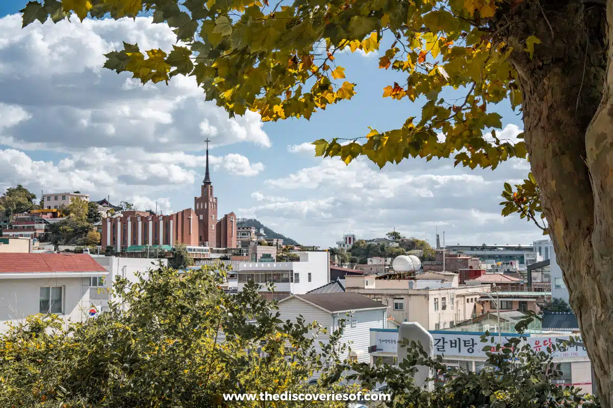 A red-brick church with a tall spire above the rooftops of Mokpo old town, framed by autumn plane tree leaves