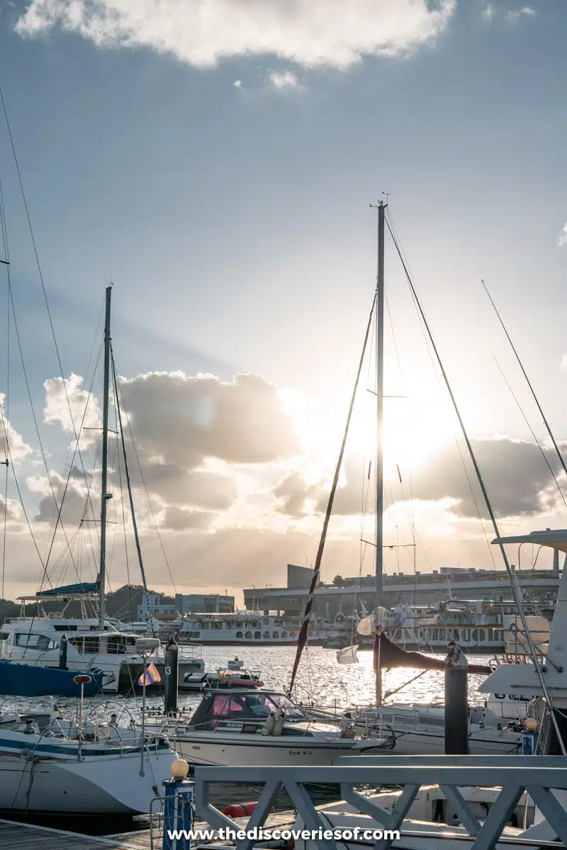Yacht masts and rigging silhouetted against the low sun and clouds in the marina at Mokpo