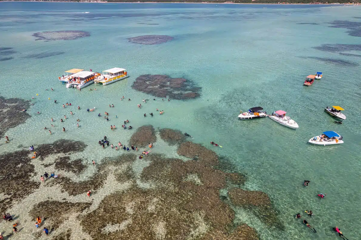 Natural Pools of Maragogi