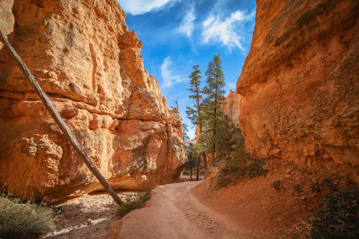 Swamp Canyon Loop, Bryce Canyon 