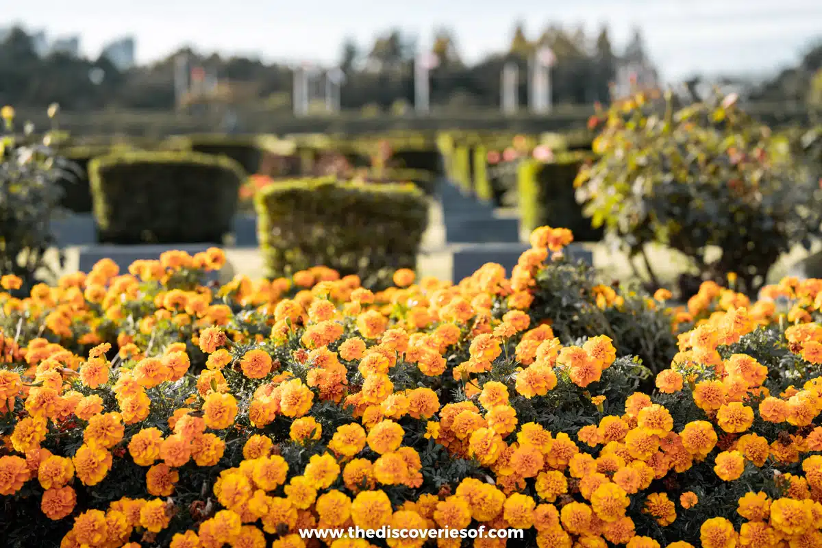 UN Memorial Cemetery