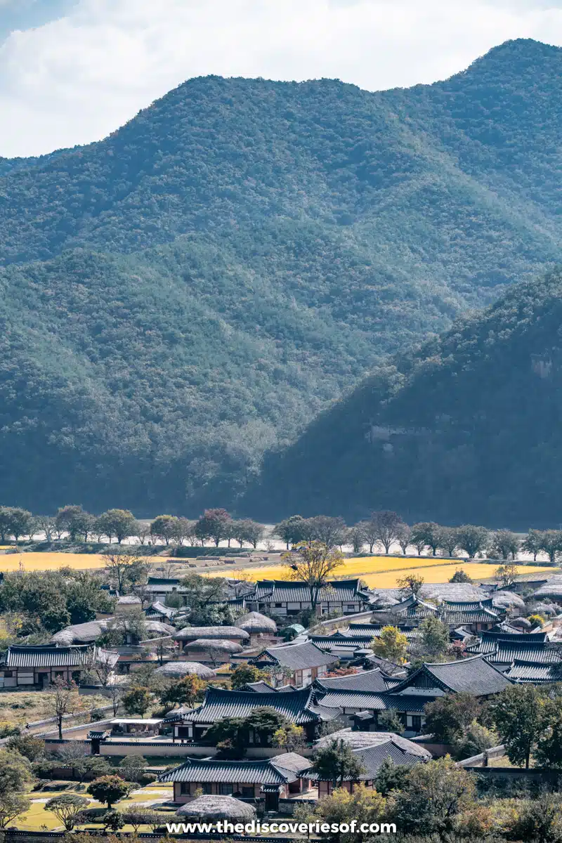 Tiled and thatched roofs of Hahoe Folk Village below forested hills, seen from Buyongdae Cliff near Andong