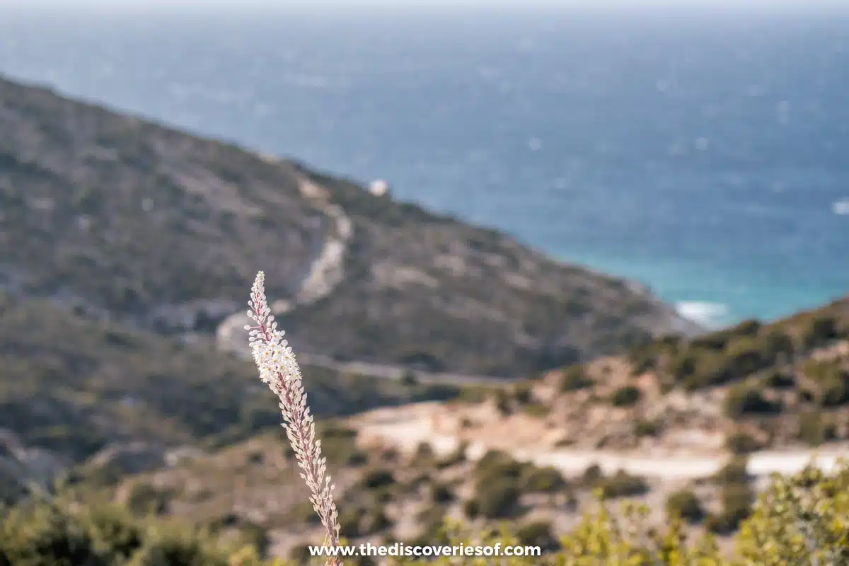 Views of landscape in Western Milos