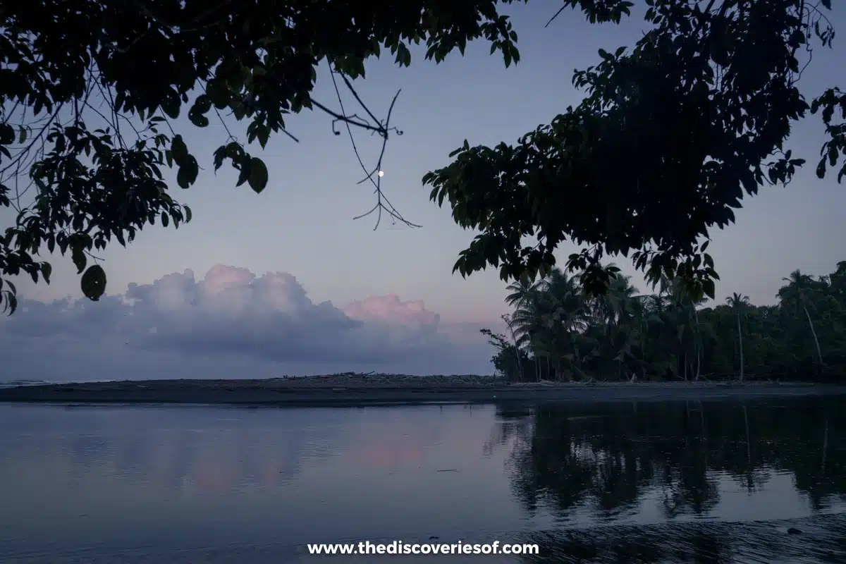 Dawn by the river 
