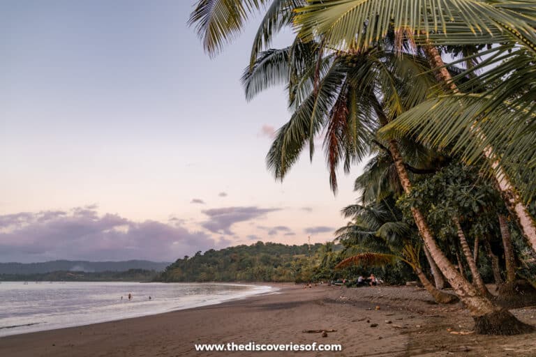 Drake Bay Travel Guide - Discover the Jewel of Costa Rica’s Osa Peninsula
