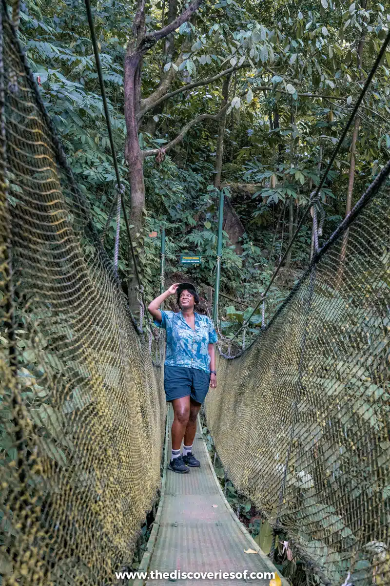 Julianna on the canopy bridge at Rainmaker