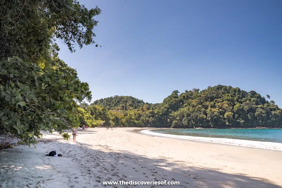 Beaches on the loop trail 