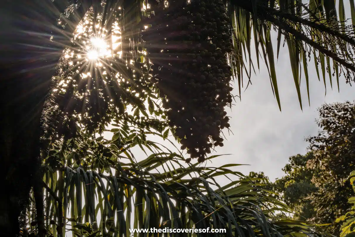 Manuel Antonio National Park 