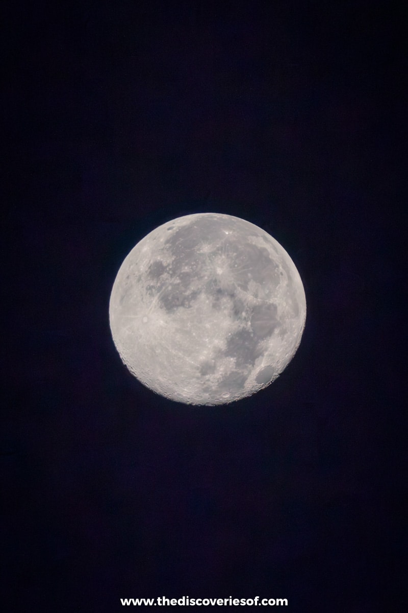 Views of the moon in the park