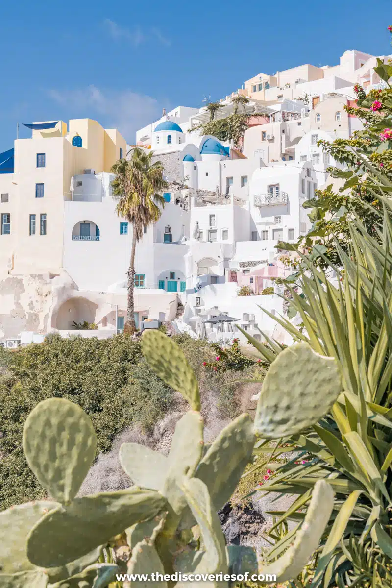 Views of Oia 