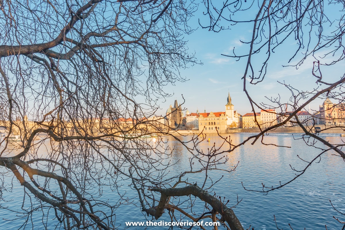 Prague river framed by trees