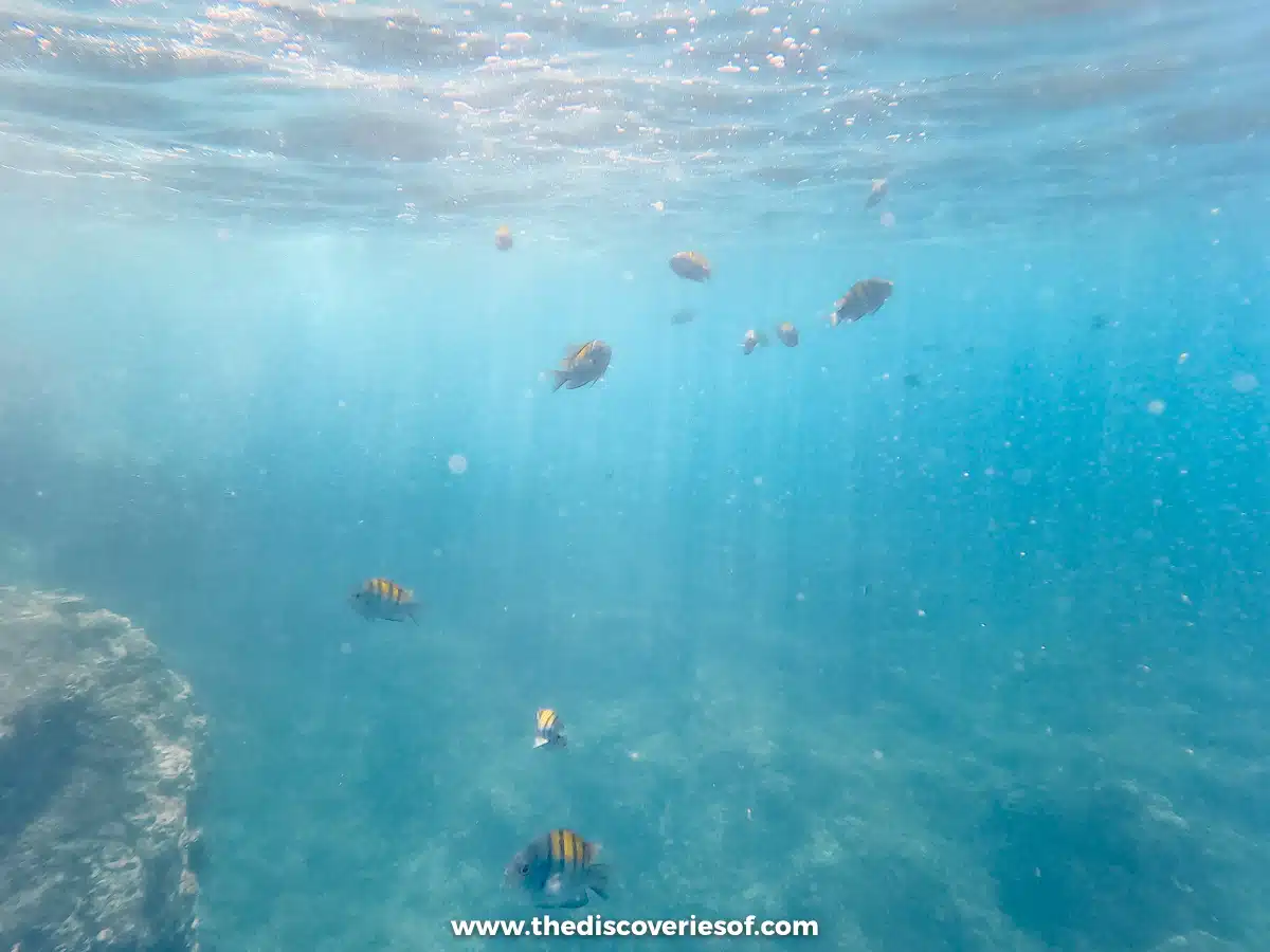 Snorkelling Cano Island 