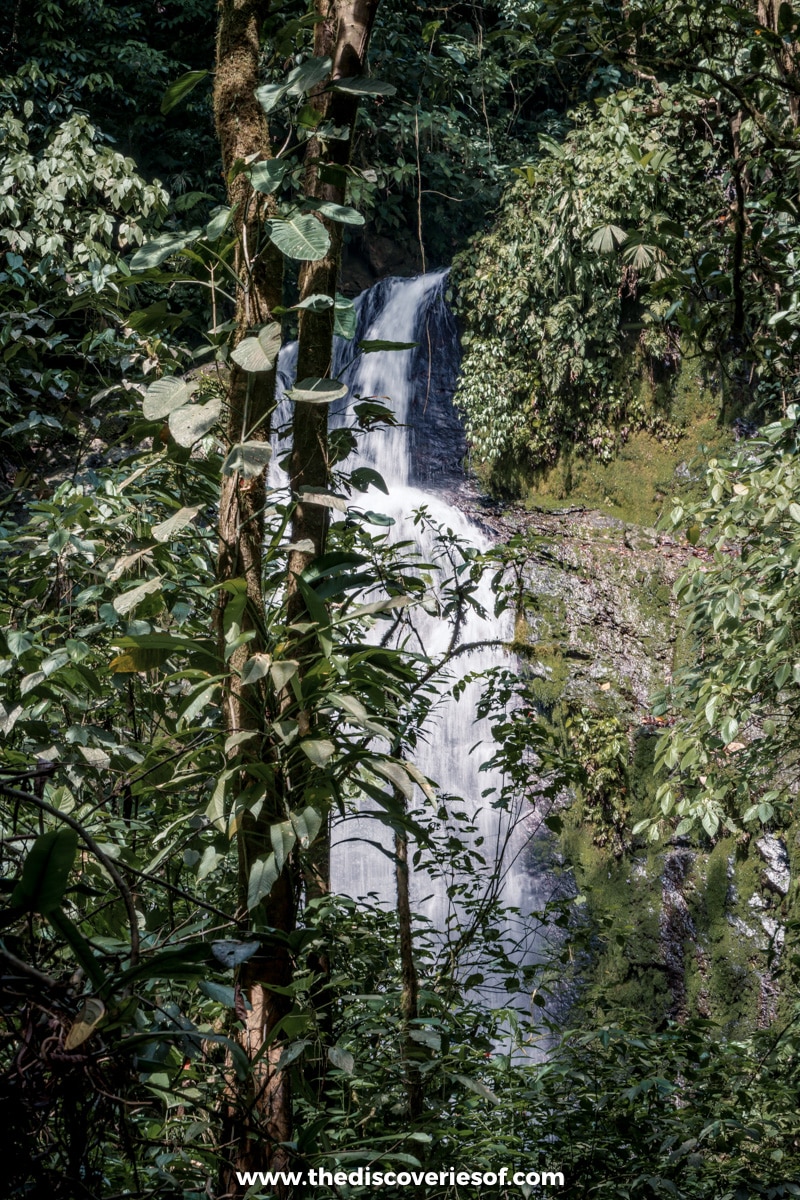 Waterfall on the hike