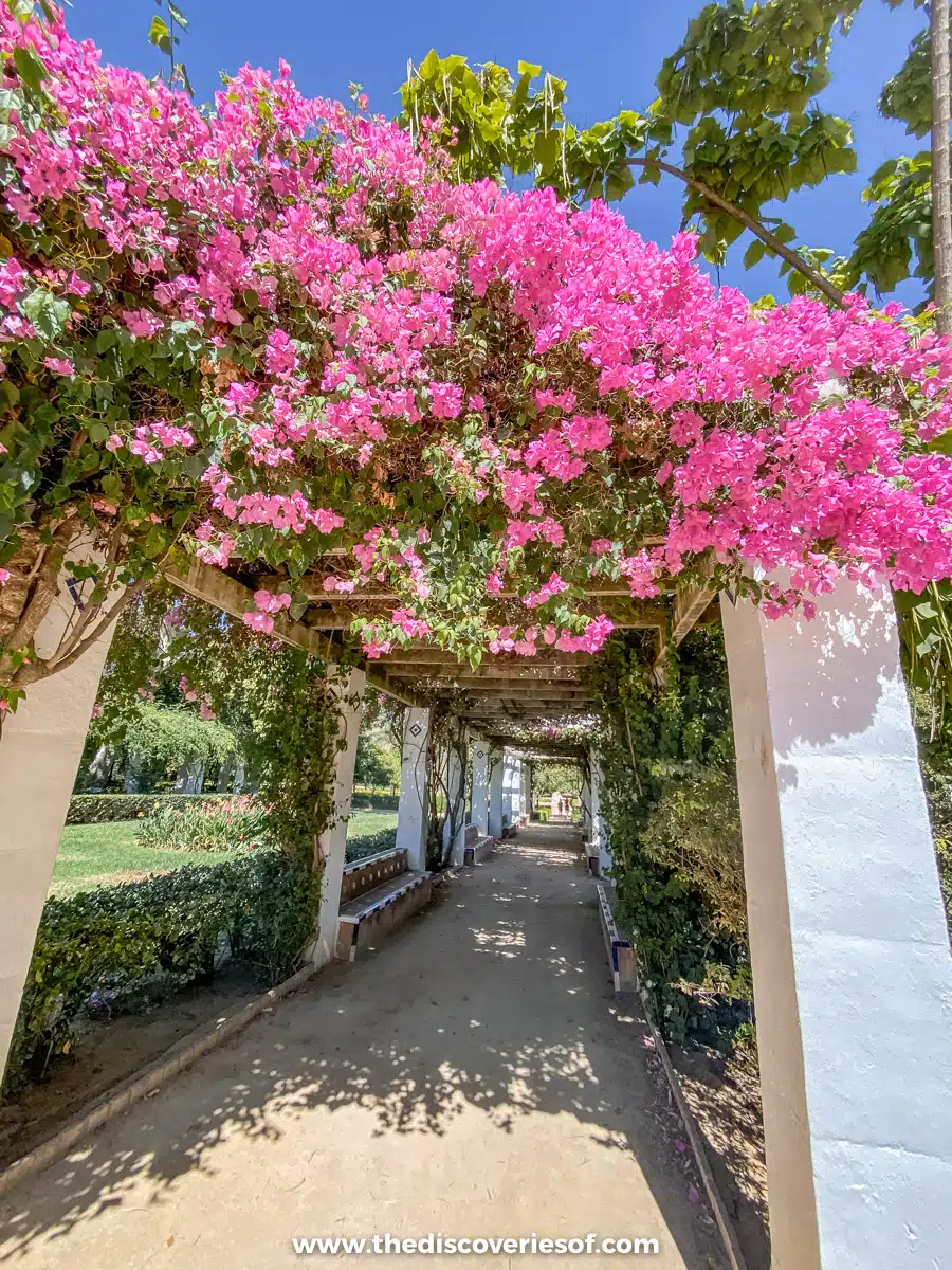 Parque Maria Luisa