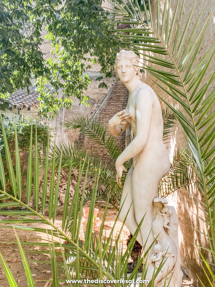 Sculptures and palms 