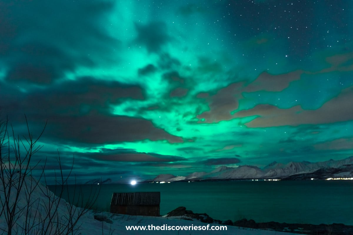 Aurora Northern Lights Oldervik Tromso