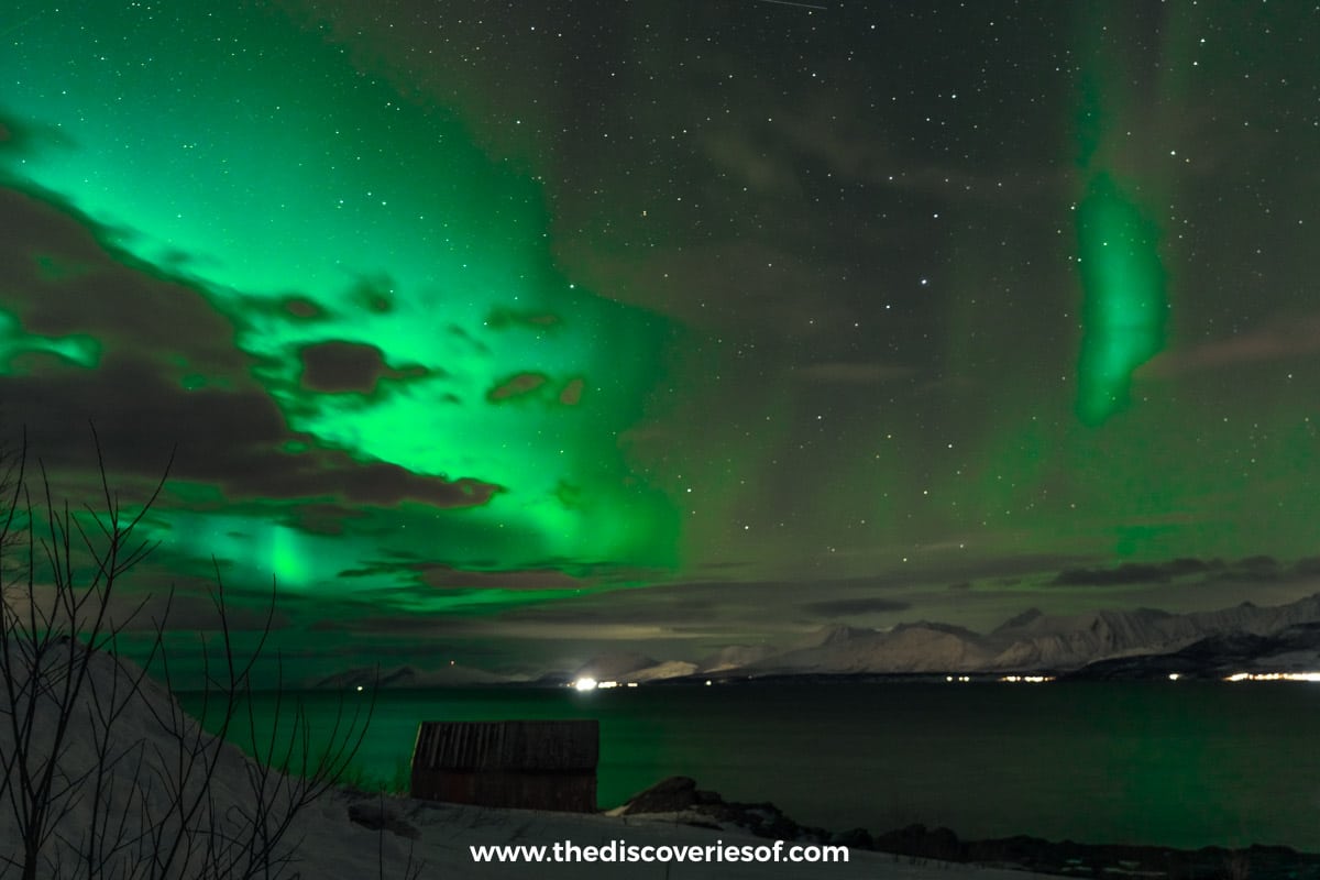 Aurora Northern Lights Oldervik Tromso