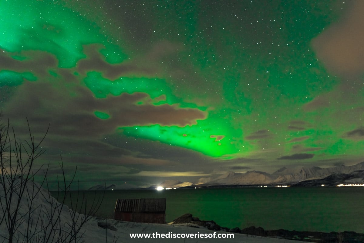 Aurora Northern Lights Oldervik Tromso
