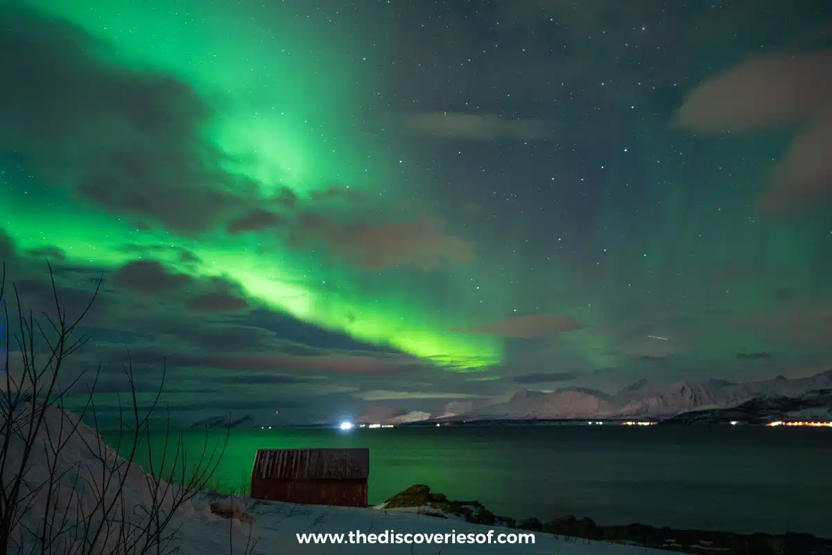 Aurora borealis over the shoreline at Oldervik near Tromsø