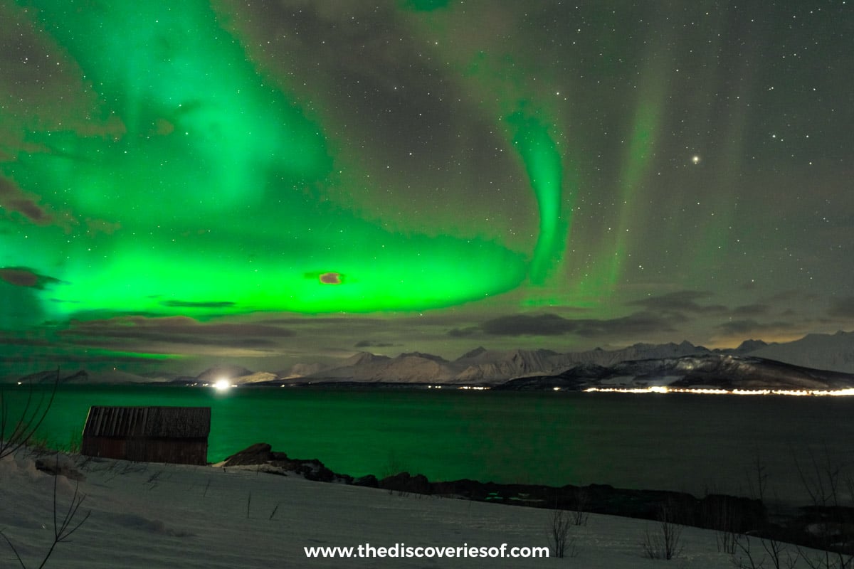 The Northern Lights at Oldervik, near Tromsø, on the night my cloud forecast paid off