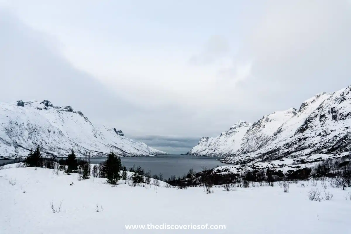 Ersfjord Viewpoint Tromso