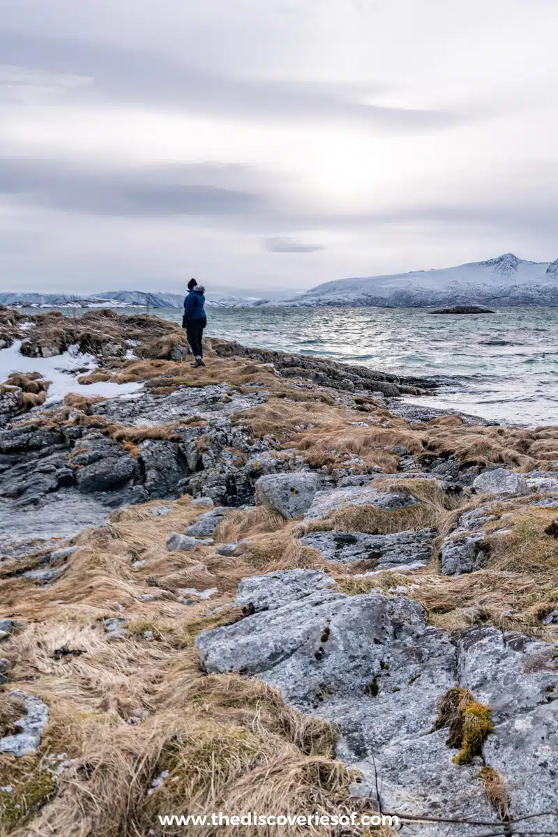 Julianna barnaby Sommaroy Tromso