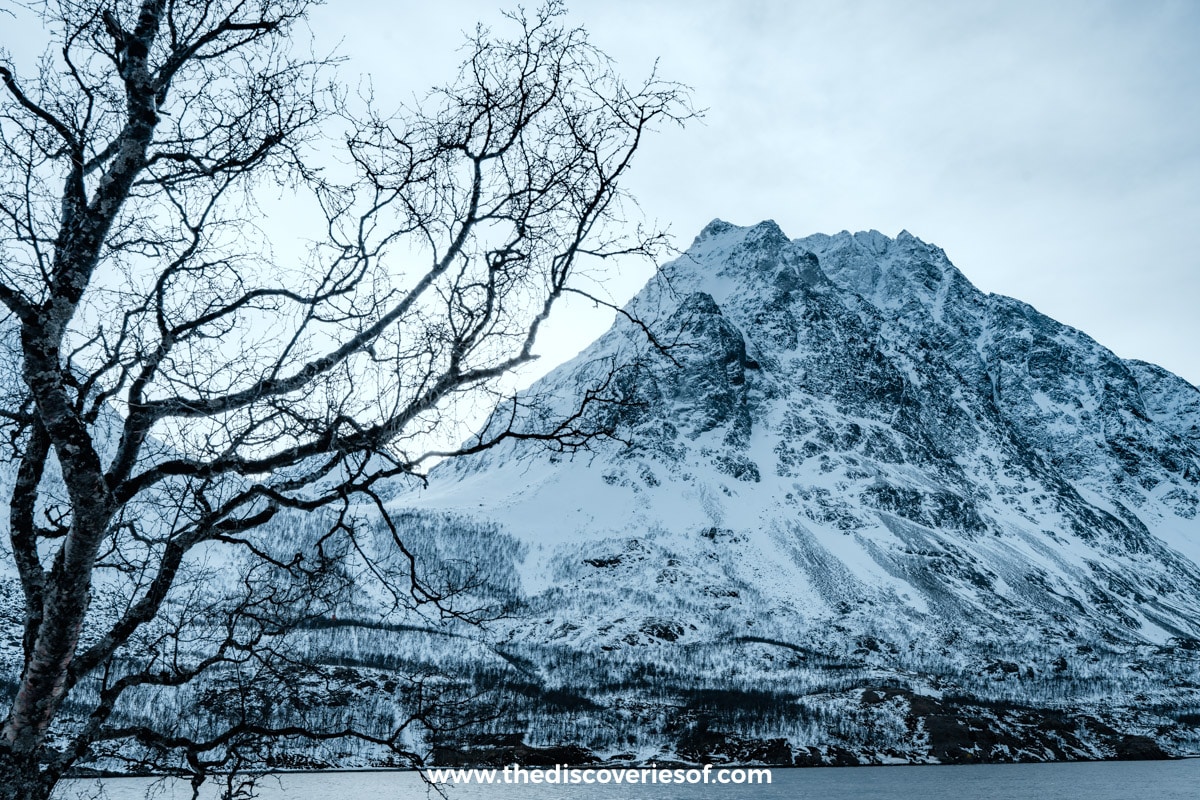 Mountains and fjord along the drive