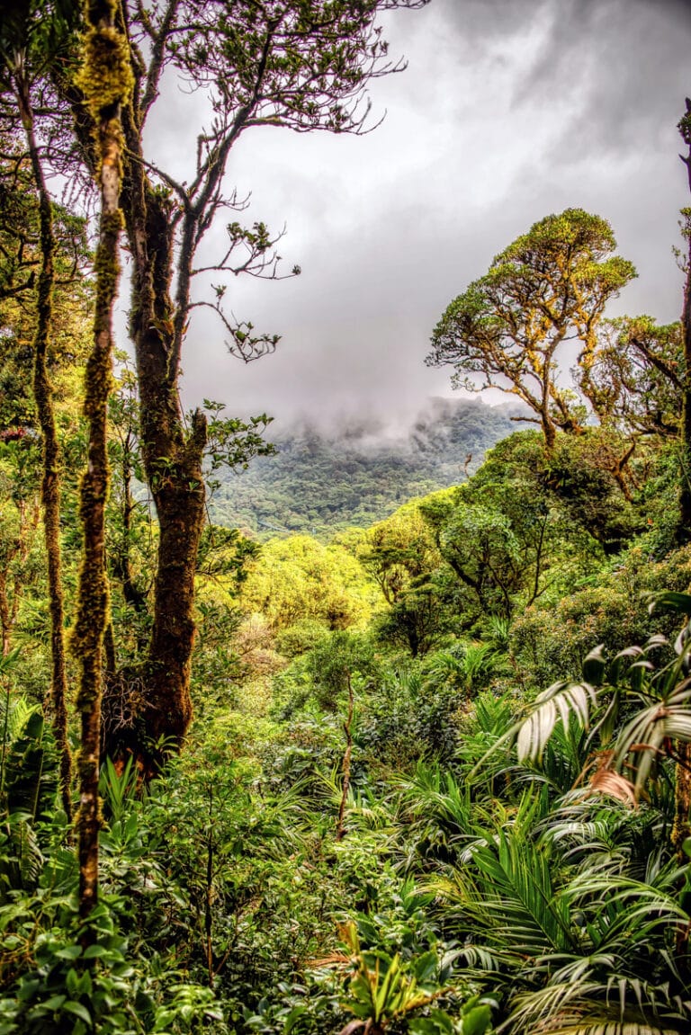 10 Days in Costa Rica - How to Plan A Perfect Costa Rica Itinerary