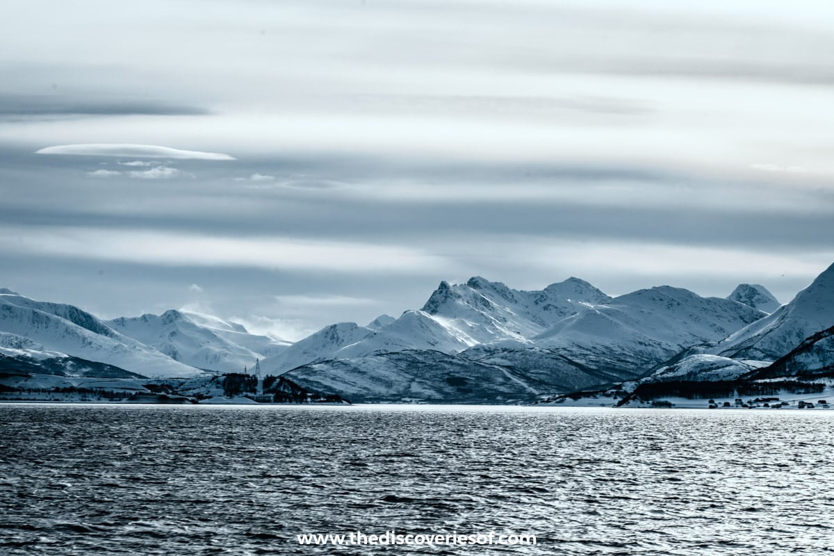 The Lyngen Alps from the water