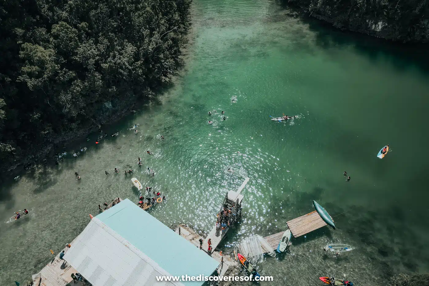 Overhead view of Sugba Lagoon's floating house with kayaks and swimmers in green water, Siargao