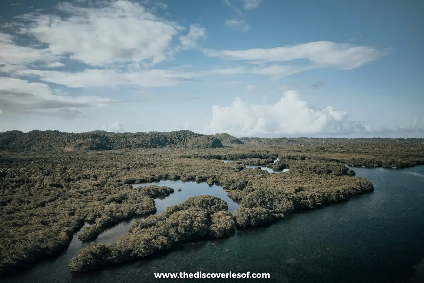 Aerial view of mangrove forest and winding water channels around Del Carmen, Siargao