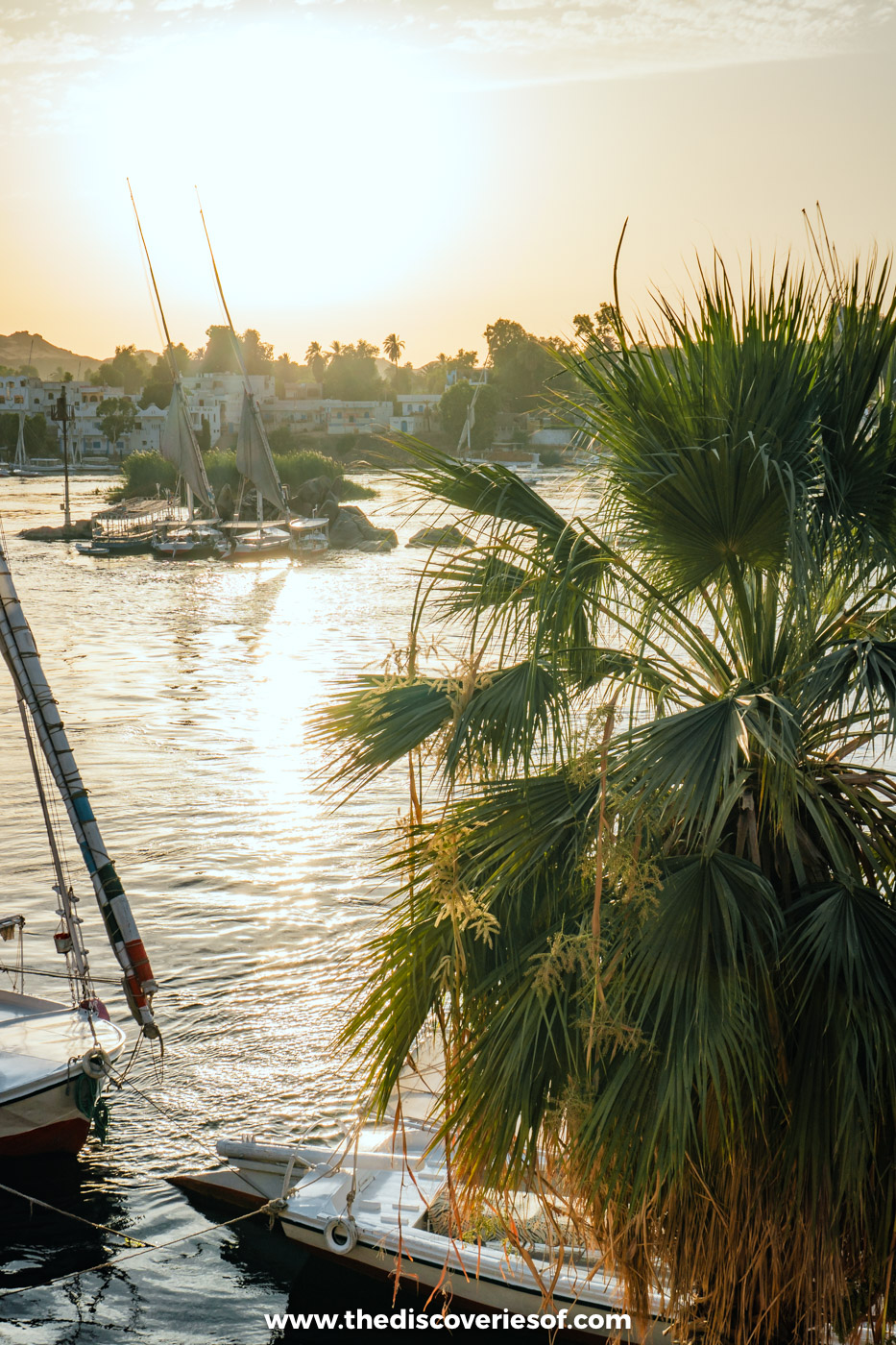 Palm fronds and the masts of moored feluccas silhouetted against the sun setting over the Nile in Aswan