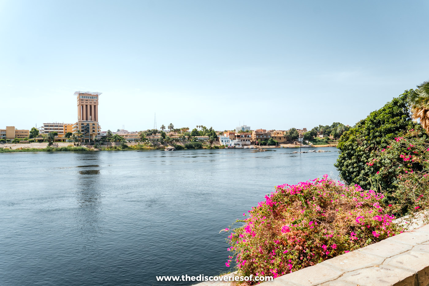 Pink bougainvillea on the riverbank of Kitchener's Island, looking across the Nile to Elephantine Island's hotel tower