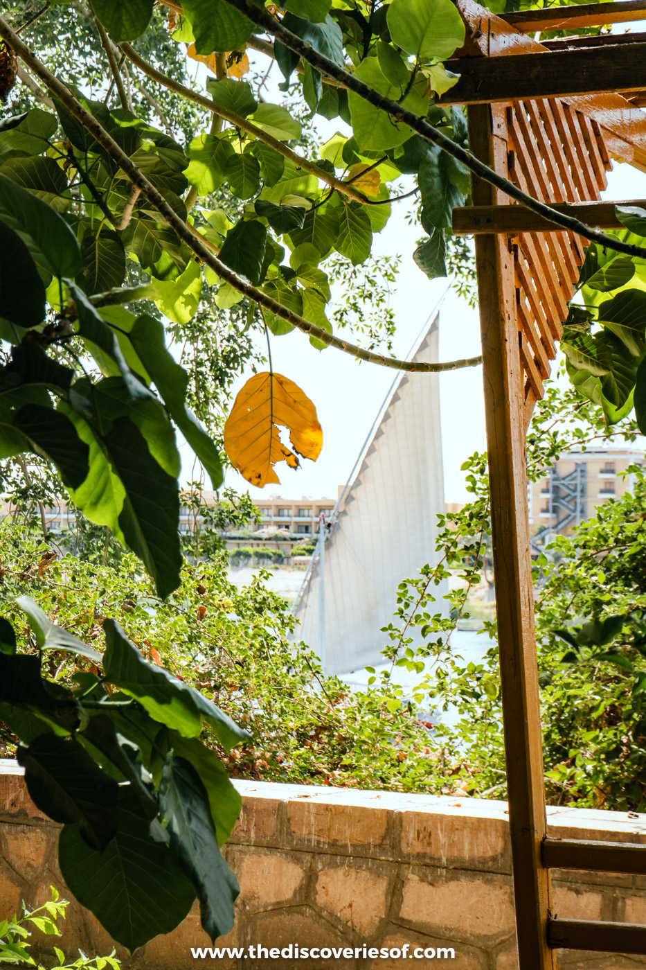 The white sail of a felucca on the Nile seen through leaves and a pergola in the Aswan Botanical Garden