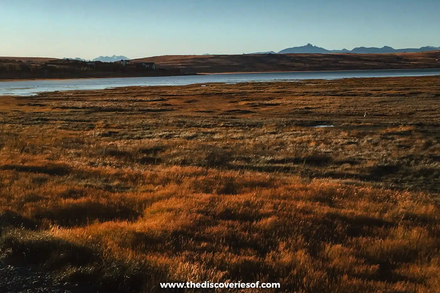 Golden steppe grassland beside a lake near El Calafate in Argentine Patagonia
