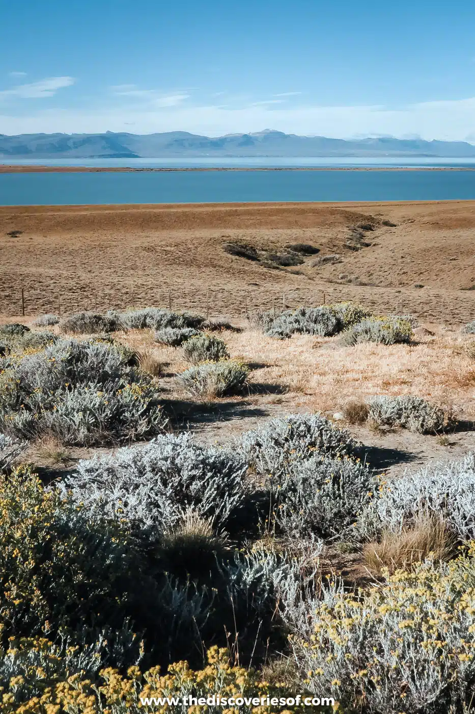 Scrubby golden steppe running down to blue Lago Viedma on the road to El Chaltén, Argentina