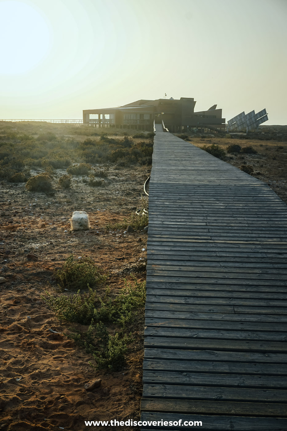 A wooden boardwalk across the dunes to Estaminé on Ilha Deserta, with solar panels beside the building