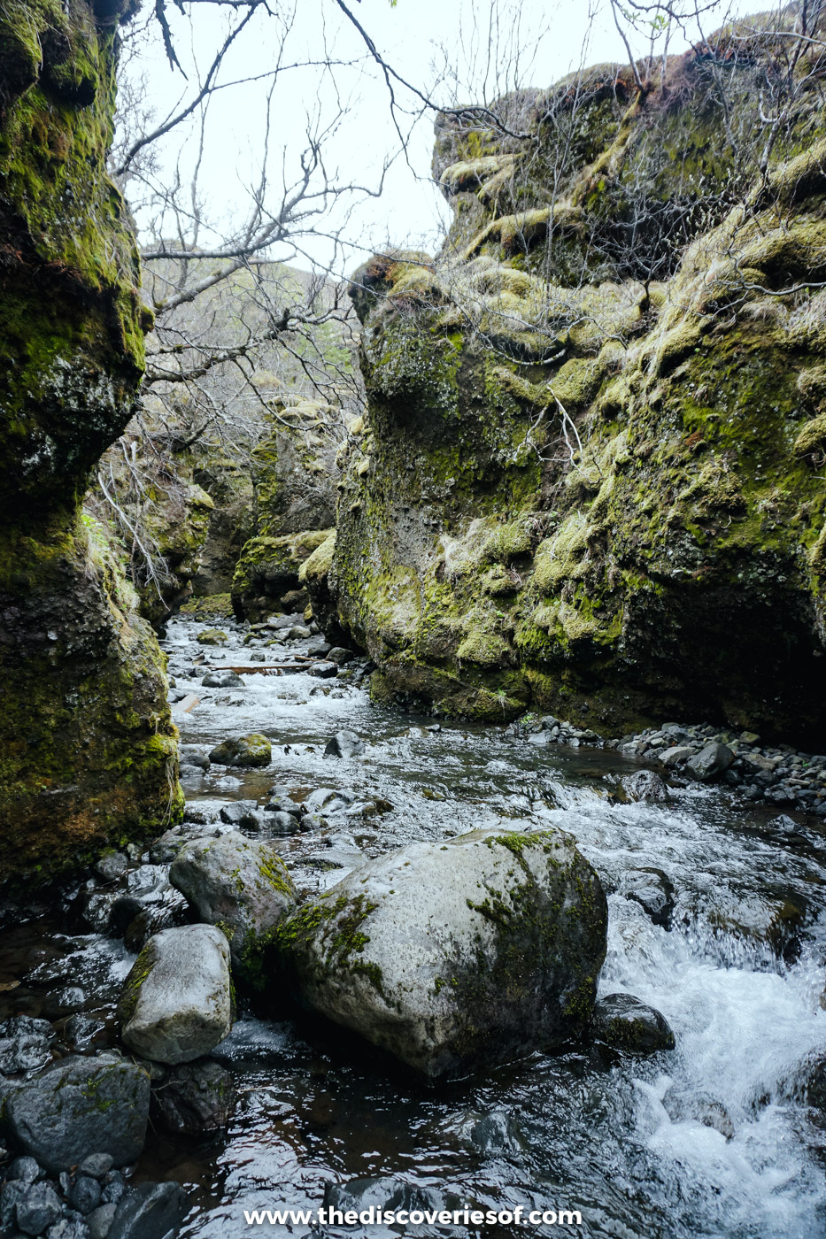 A fast stream rushing over boulders between moss-covered rock walls in a narrow ravine near Þórsmörk in Iceland