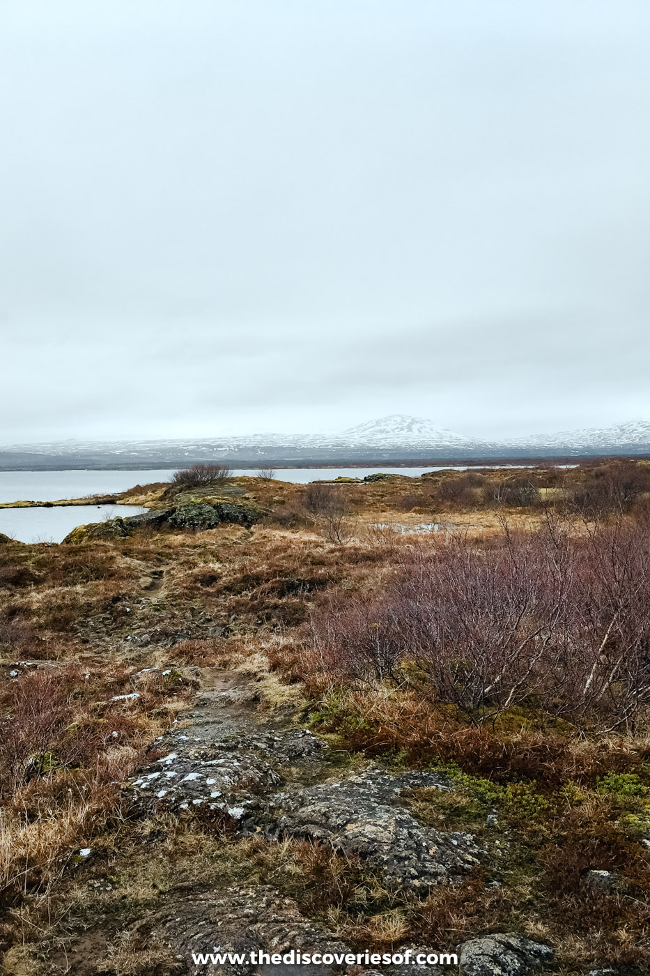 Low moss and brown heath under a grey sky in the Icelandic countryside in spring