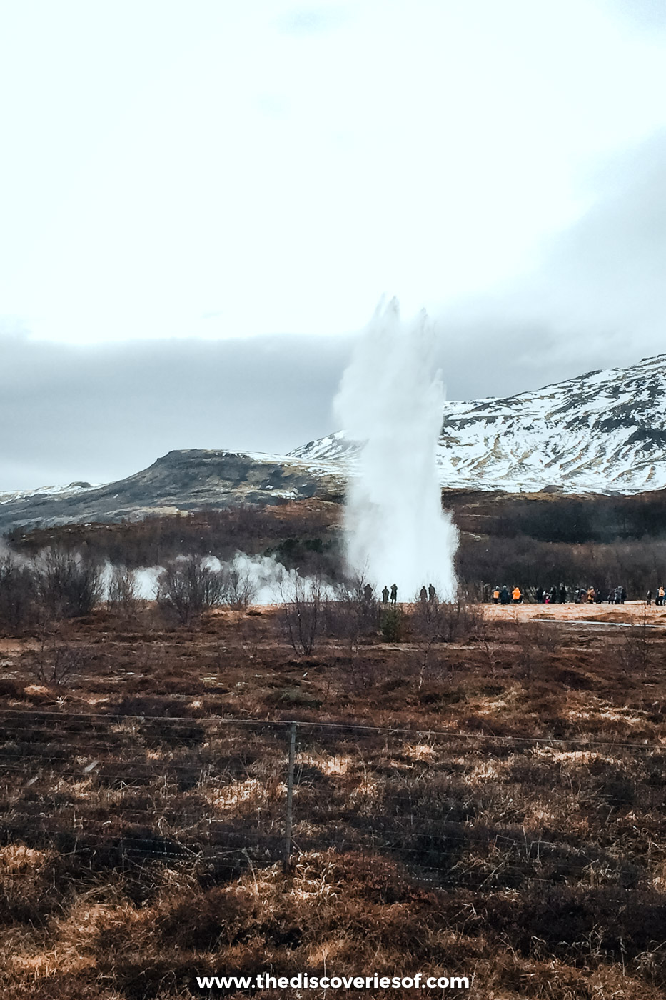 Strokkur shooting a plume of water and steam above brown heath, a line of visitors watching from the path in Haukadalur
