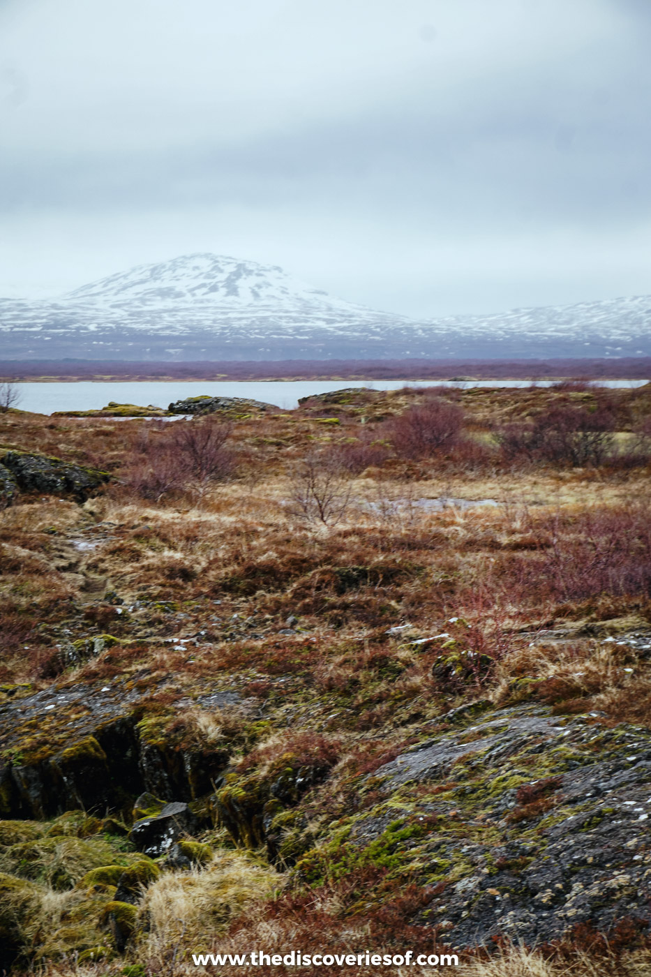 Brown moss and heath on the lava shore of Þingvallavatn with a snow-capped mountain behind in May