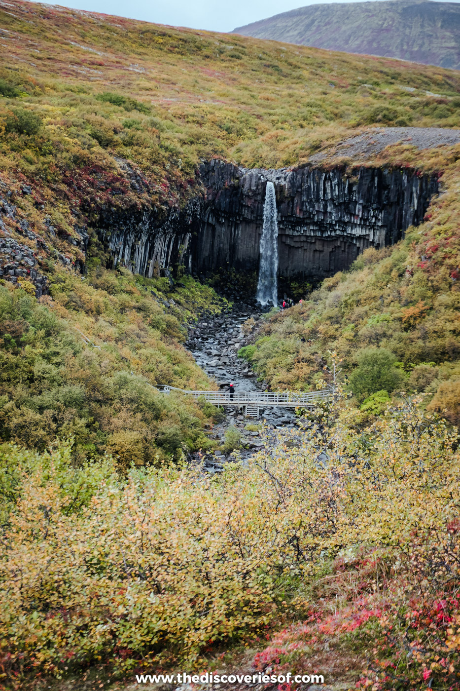 The path to Svartifoss through red and gold autumn scrub, with the waterfall and its black basalt columns ahead