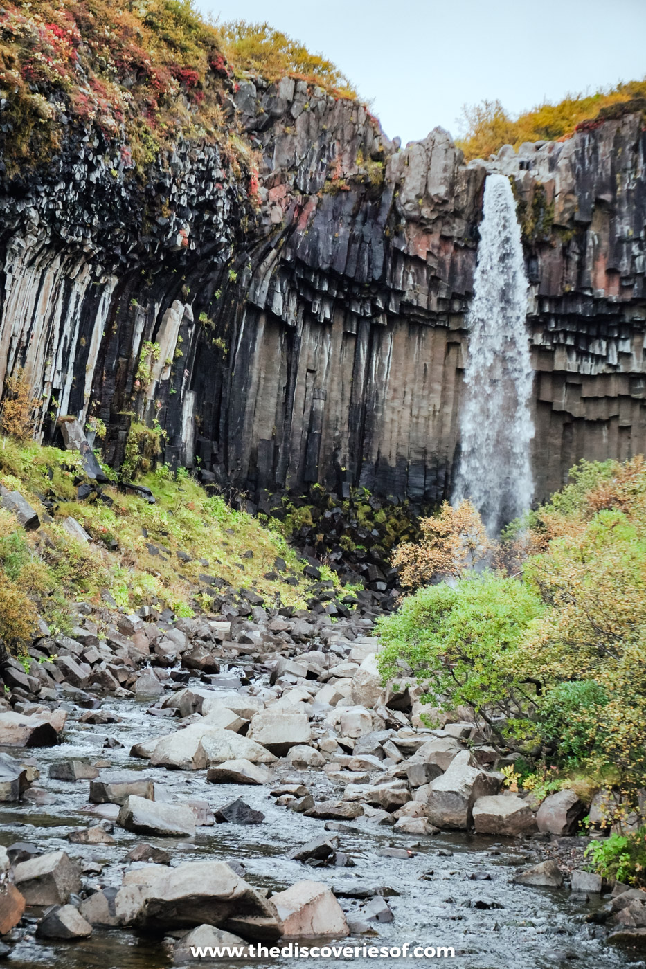 Svartifoss falling between black basalt columns above a boulder-strewn stream and autumn shrubs, Skaftafell, Iceland