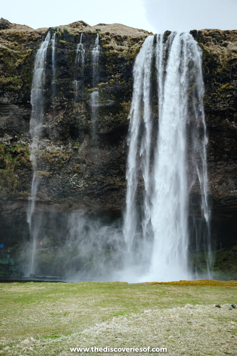 Seljalandsfoss pouring off a mossy cliff beside its thinner side falls above green fields in May, south Iceland