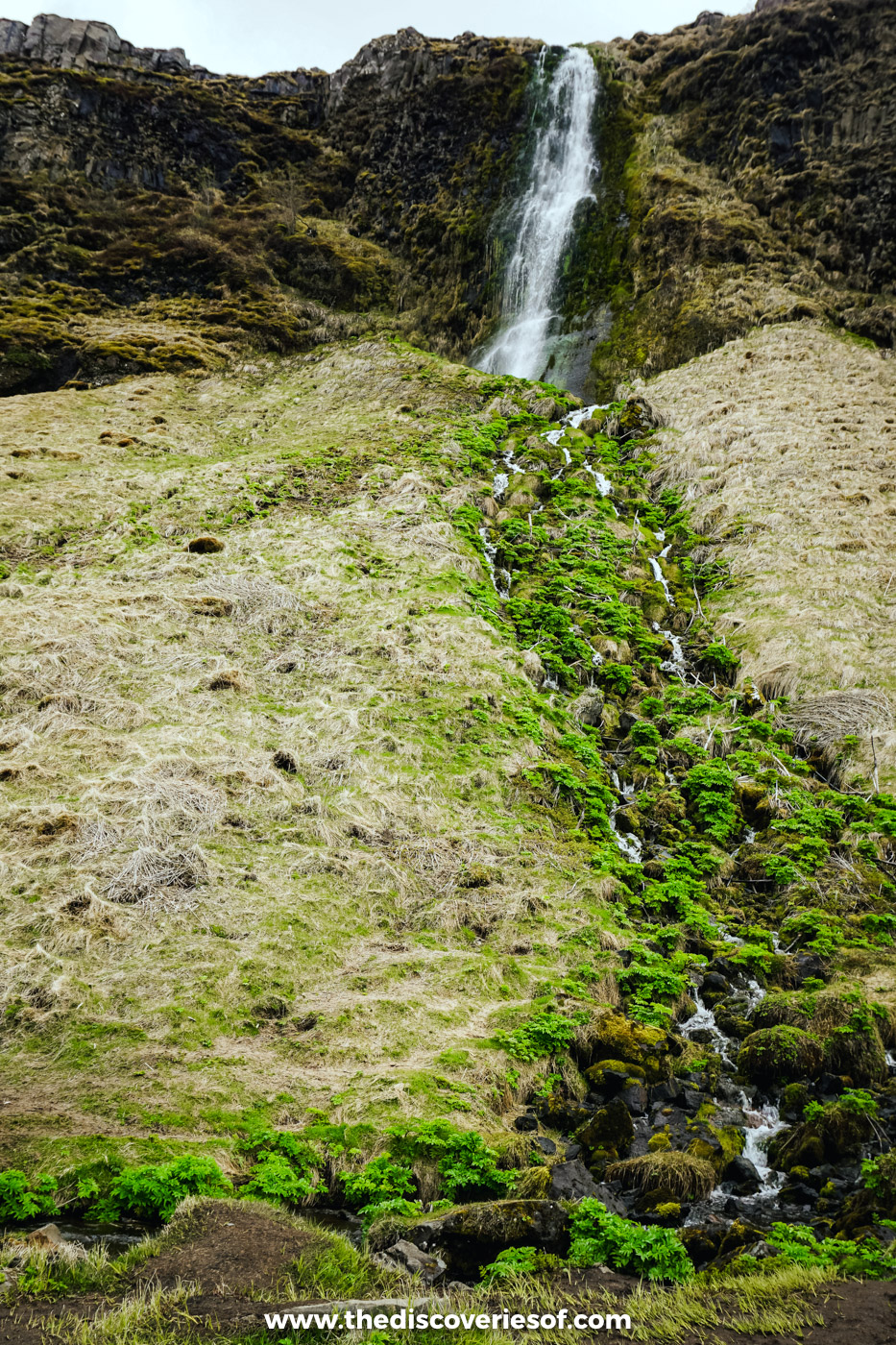 A slender waterfall dropping down a mossy cliff into a green stream between Seljalandsfoss and Gljúfrabúi in May