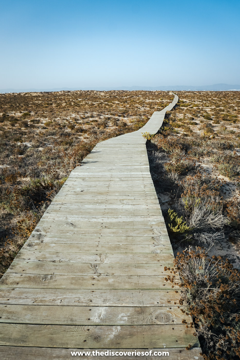 A weathered wooden boardwalk curving away through low dune scrub on Ilha Deserta in the Ria Formosa, under a pale sky