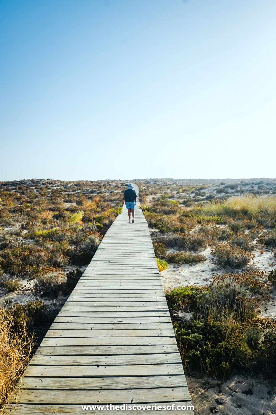A walker in a sun hat heading along the wooden boardwalk through the dune scrub towards the beach on Ilha Deserta